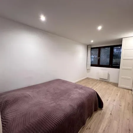 Logement-proche Strasbourg-rez De Jardin-centre